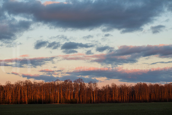 Weather Covercrop_Deny