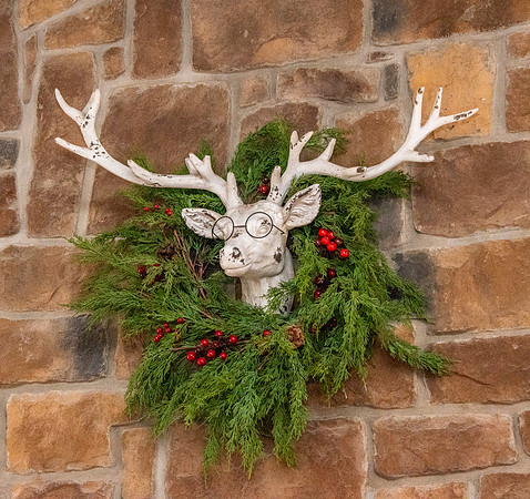 DH7_5915 HHTmilton25