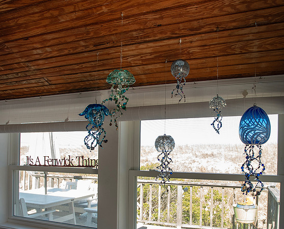 DH7_6934 hodges jellies