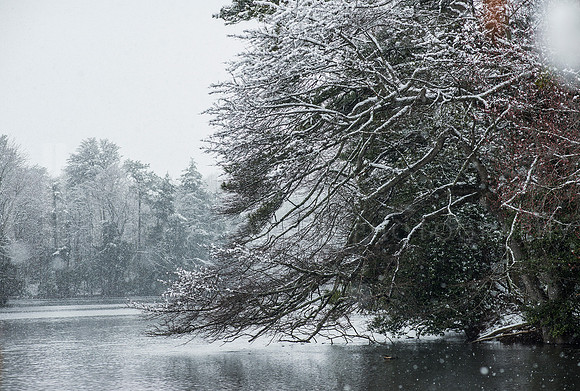 pond