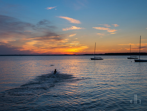 Dewey Sailing