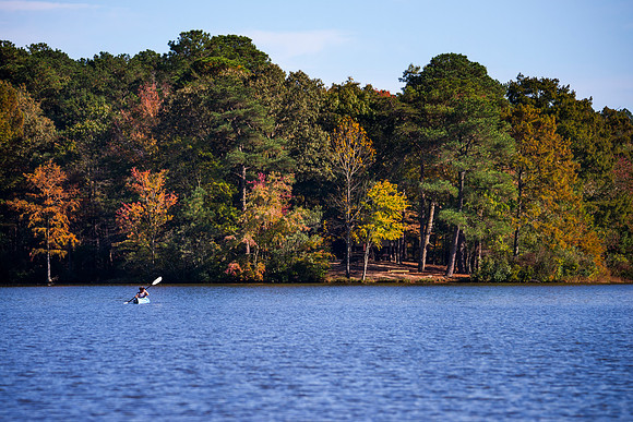 Trap Pond_1089