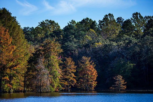 Trap Pond_1116