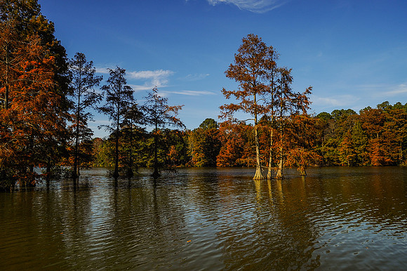 Trap Pond_2995
