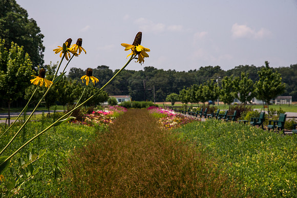 Delaware Botanic Garden