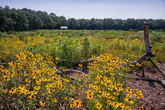 Delaware Botanic Garden