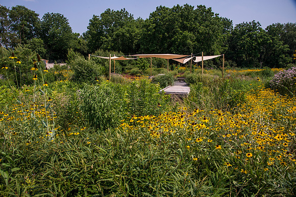 Delaware Botanic Garden