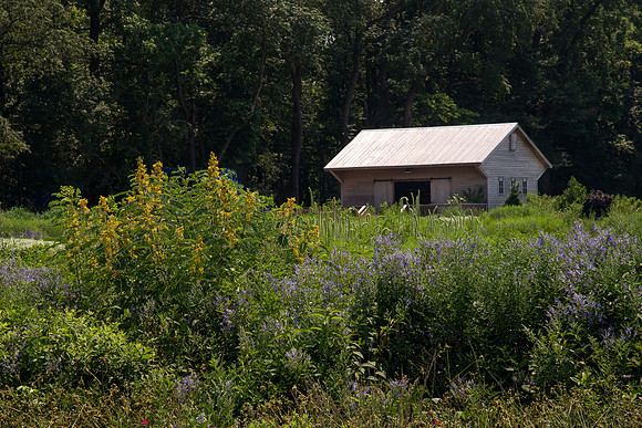 Delaware Botanic Garden