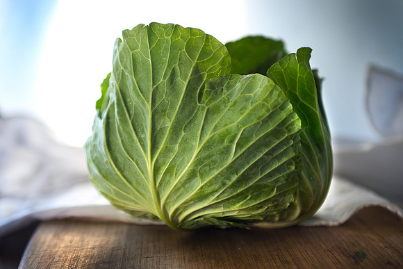 Cabbage_9868