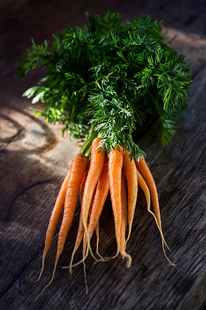 CARROT_lg_1140