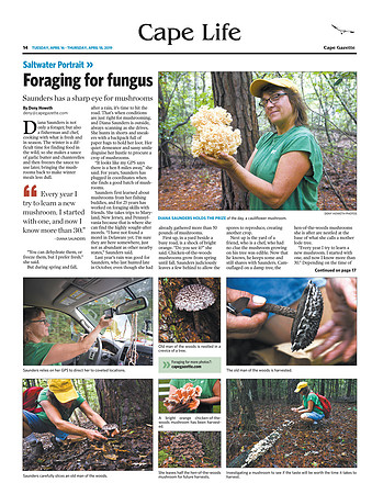 Foraging for fungus