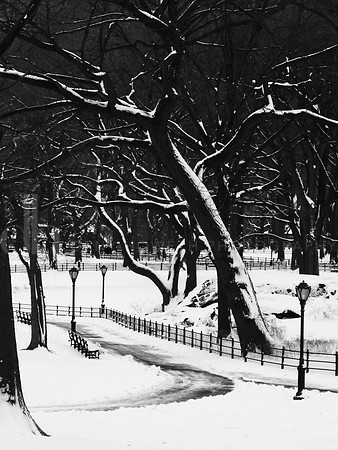 CPpathBW_0828