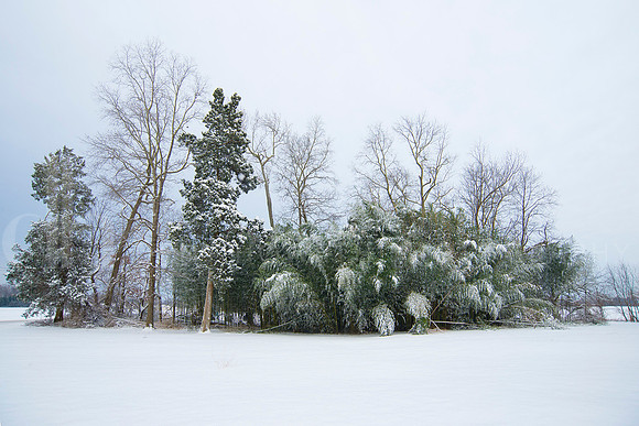 snow_DH69459