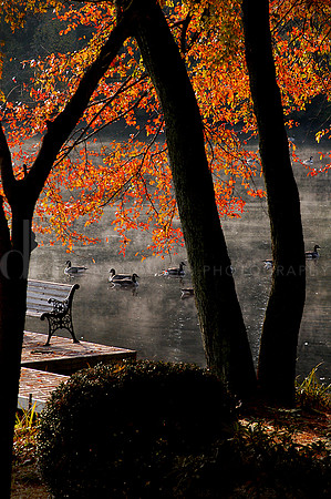 1Diamond Pond_1364dock