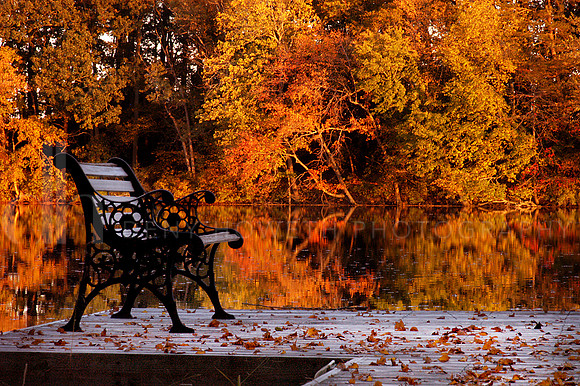 1Diamond Pondbench DSC_1328