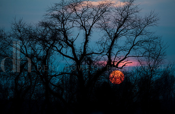 ORANGE ball 2