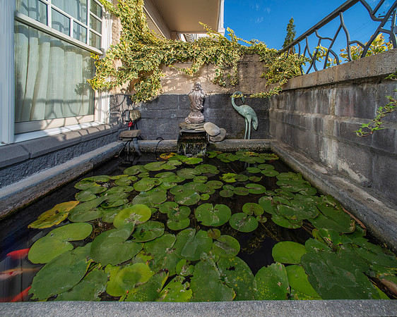 Koi Pond_5834 sm
